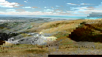 12 Day Journeys: Discover New Zealand (G Adventures)