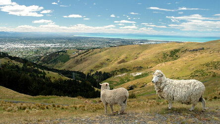 12 Day Journeys: Discover New Zealand (G Adventures)