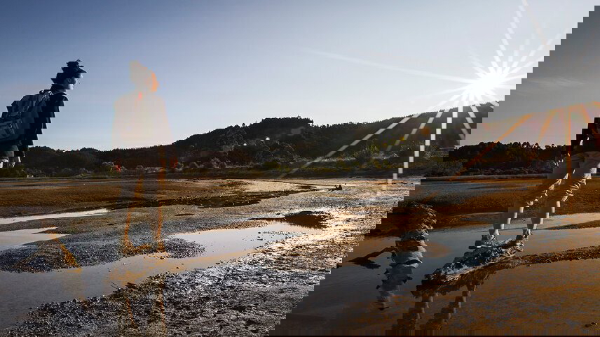 New Zealand: South Island Encompassed