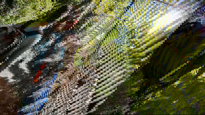 Australia and New Zealand: Surfing & National Parks