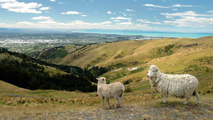 Australia And New Zealand: Bushwalks & Beaches