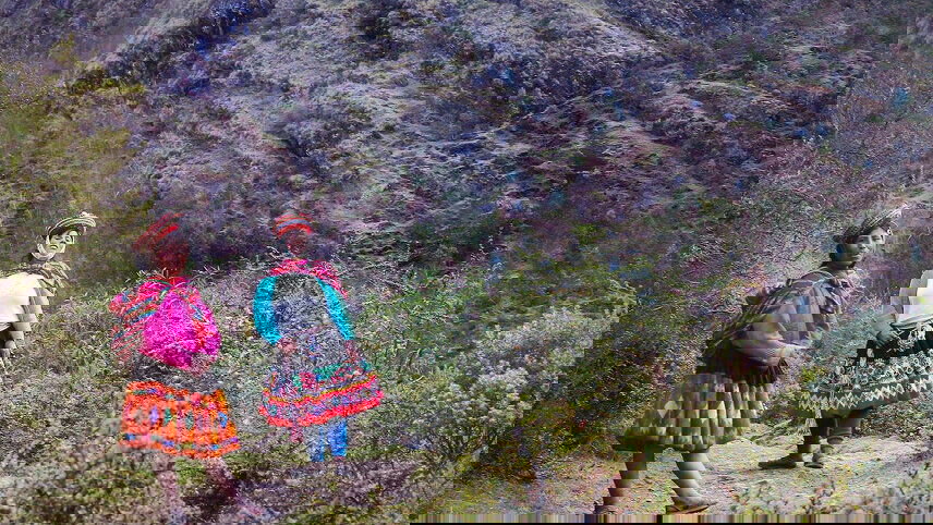 Inca Discovery (Lares Trek)