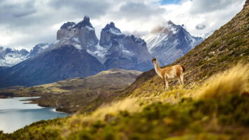 9 Day Signature: Argentina, Chile & the Heart of Patagonia (G Adventures)