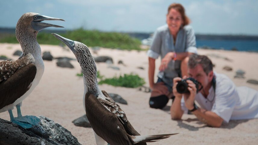 The Galápagos: Wildlife of Santa Cruz & Isabela Islands
