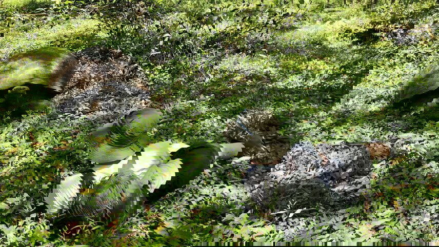 Active Galápagos & Machu Picchu (Machu Picchu by Train)