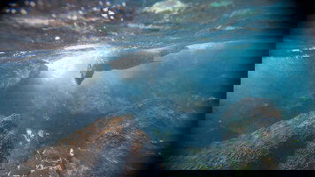 10 Day Upgraded Land Galapagos (G Adventures)