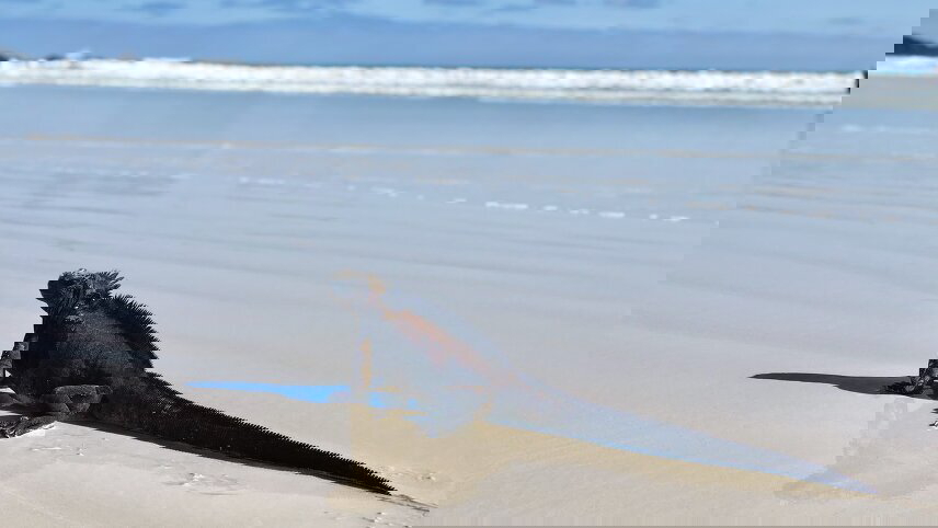 Galápagos Island Hopping Land-Only