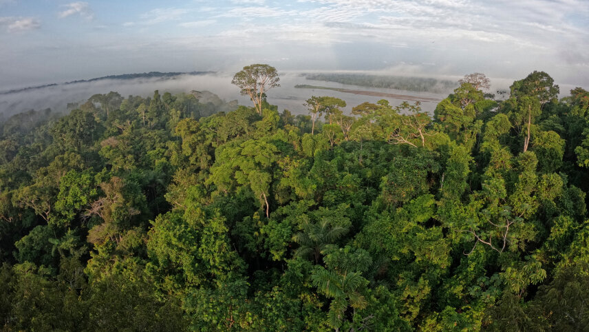 Signature: Ecuador's Amazon Rainforest & Andean Highlands