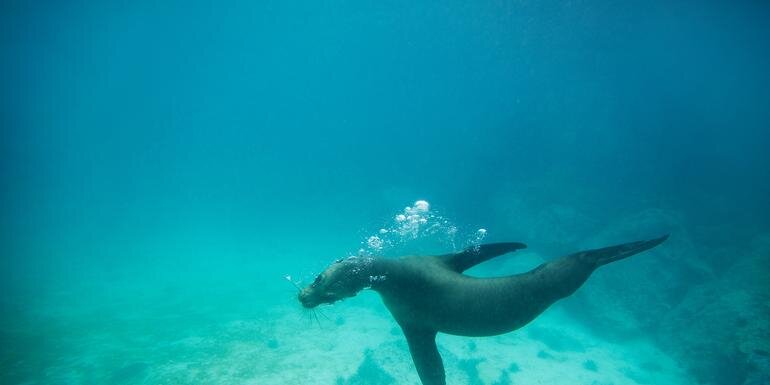 Galápagos Land & Sea - Central & South Islands aboard the Yolita