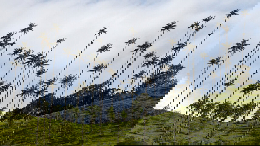 Colombian Adventure: Hot Springs & Bogotá Streets