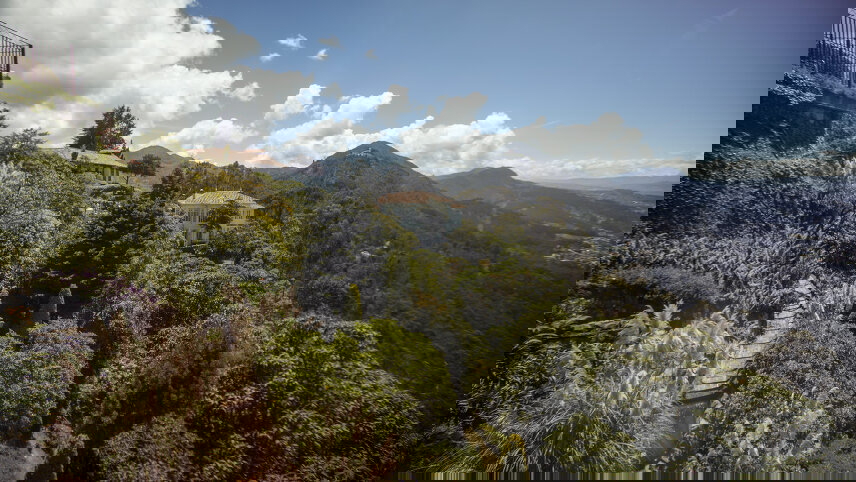 Colombian Adventure: Hot Springs & Bogotá Streets