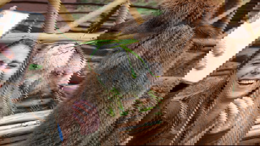 Inca Adventure: Cusco, Machu Picchu & the Best Views Ever