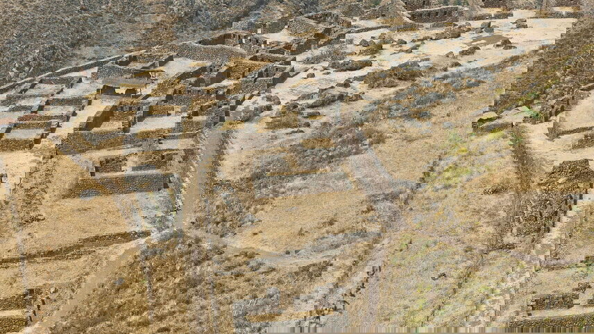 Signature: Peru from Machu Picchu to the Amazon Jungle