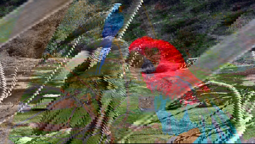 Peru: Inca Trail & the Amazon (Lares Trek)