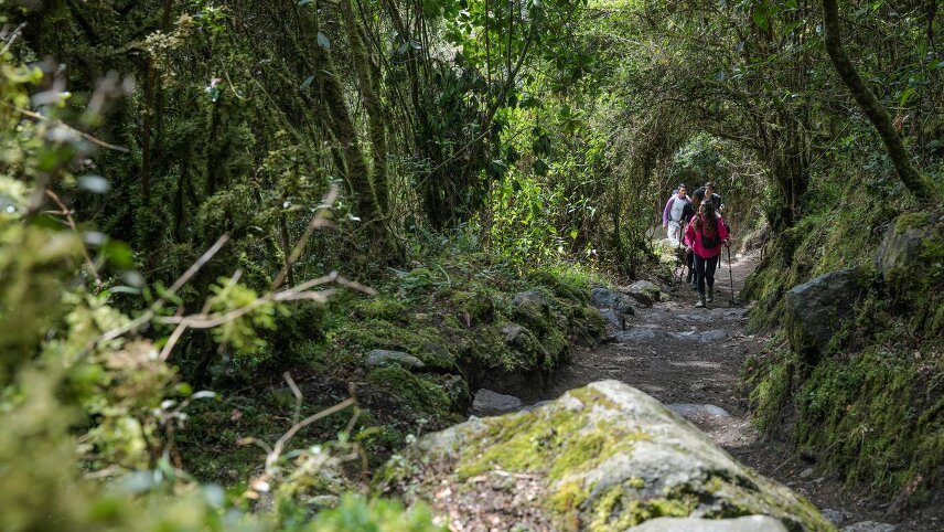 Peru: Inca Trail & the Amazon