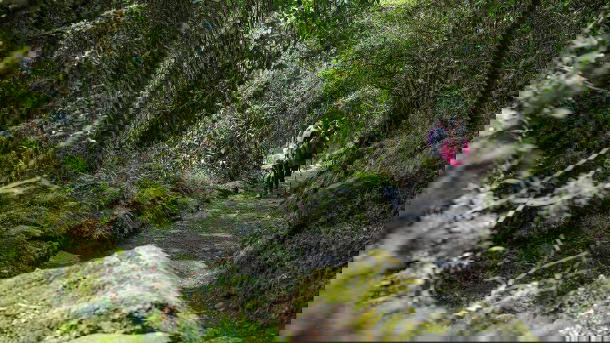 Peru: Inca Trail & the Amazon (Inca Trail)