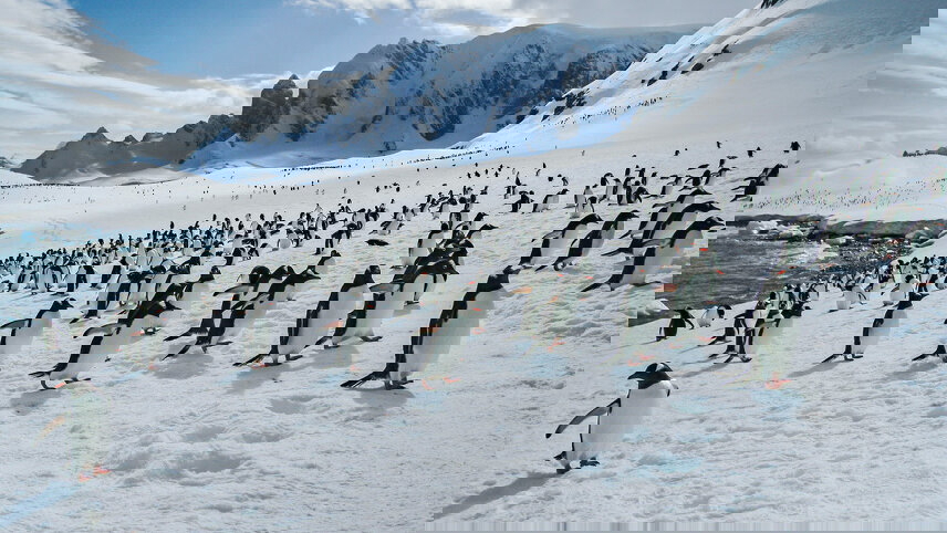 Antarctica Classic in Depth