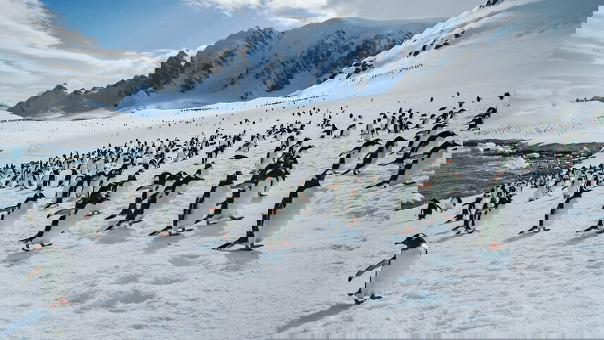 Falklands, South Georgia & Antarctica