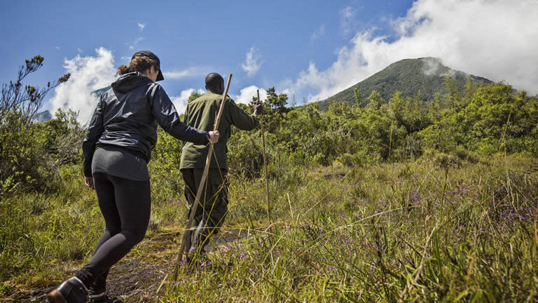 Uganda to Rwanda: Gorilla Treks & Safari Drives