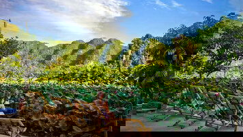 14 Day Epic Vietnam: Hanoi, Ho Chi Minh City & Handmade Noodles (G Adventures)