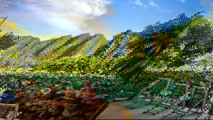 Ultimate Vietnam: Big Cities, Beaches & The Best Views Ever