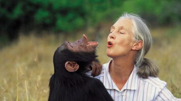 Jane Goodall Collection