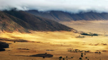 9 Day Tanzania: The Serengeti & Beyond (Globus)