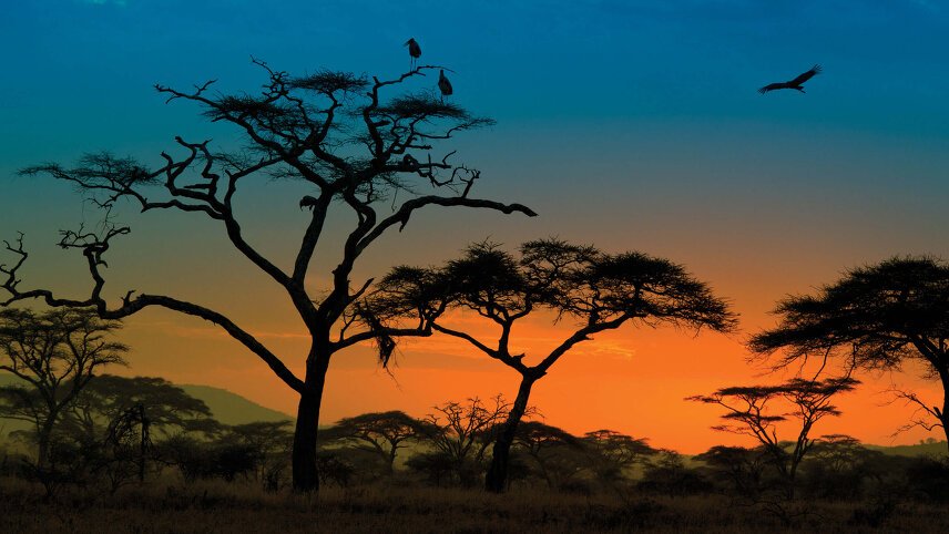 Kenya: A Classic Safari with Amboseli National Park