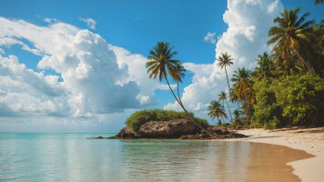 12 Day Kenya: A Classic Safari with Mombasa (Globus)