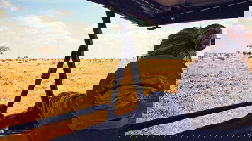 12 Day Splendors of South Africa & Victoria Falls (Globus)