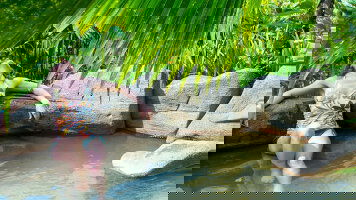 9 Day Costa Rica: Coast to Coast (Globus)