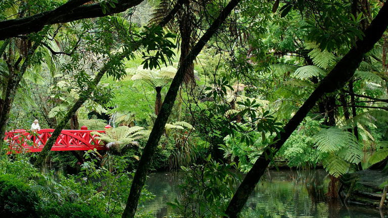 Explore New Zealand’s Finest Public and Private Gardens