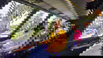 Grand Pacific Solo Tours