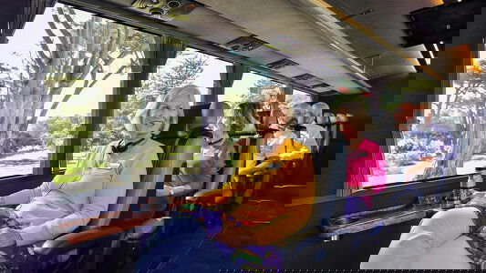 Grand Pacific Solo Tours