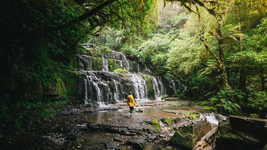 Signature Best of the South Island