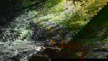 14 Day Signature Best of the South Island (Grand Pacific)