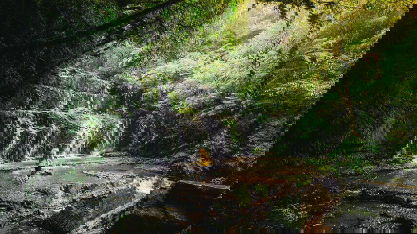 Signature Best of the South Island