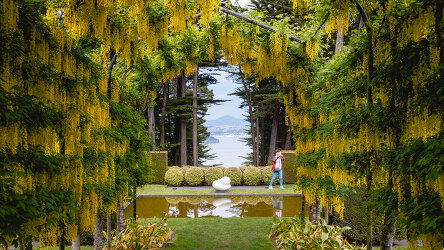 14 Day Signature Panorama (Grand Pacific)