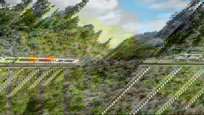 Northern Highlights Tour