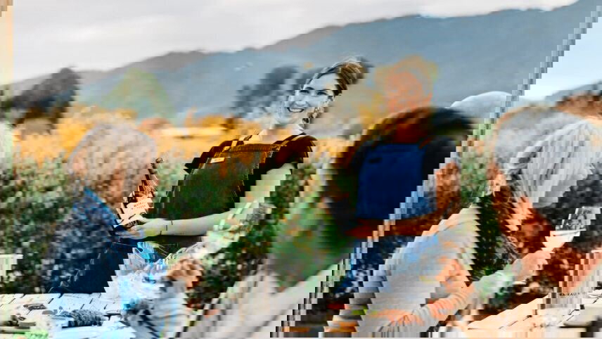 New Zealand Up Close Tour (Southbound)