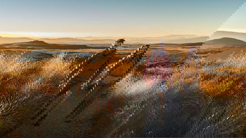 New Zealand Up Close Tour (Southbound)