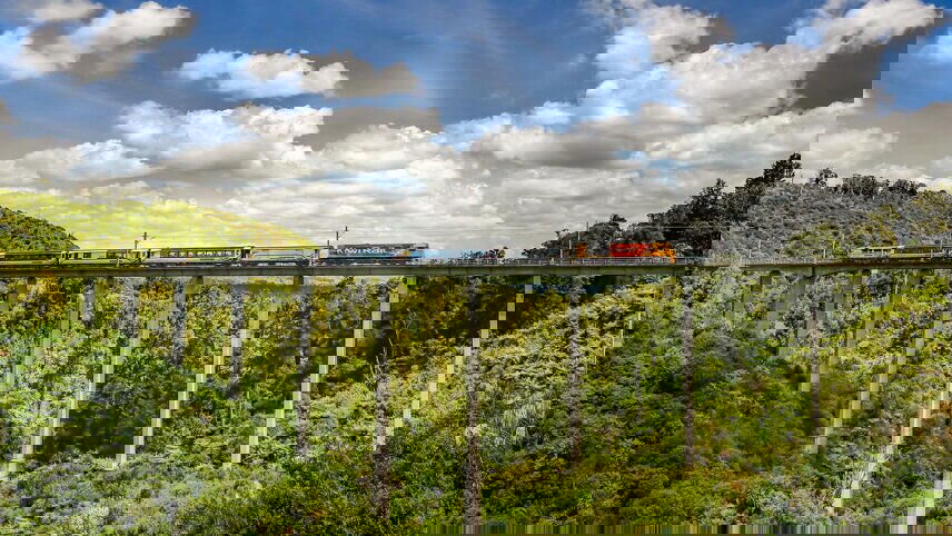 New Zealand Up Close Tour (Northbound)