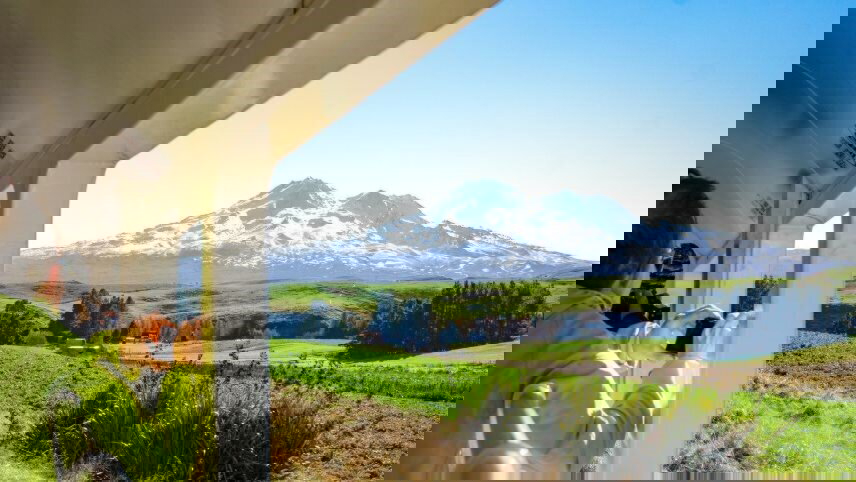 Inspiring North Island Tour