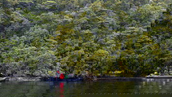 Unforgettable Wildlife Excursions