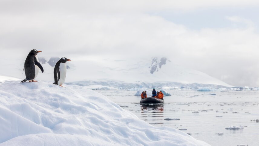 Antarctic Peninsula Expedition Cruise, Including South Shetland Islands