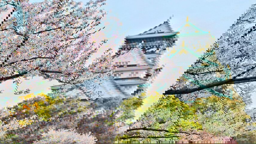 Cherry Blossoms Of Japan Cruise