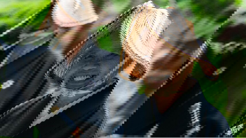 Cherry Blossoms Of Japan Cruise