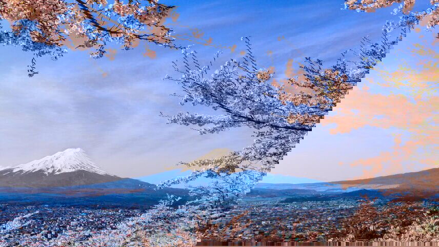 Cherry Blossoms Of Japan Cruise