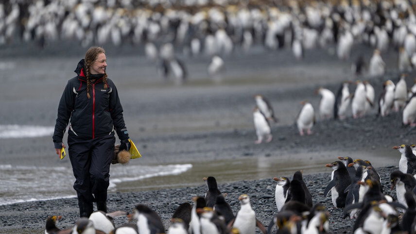 Galapagos Of The Southern Ocean
