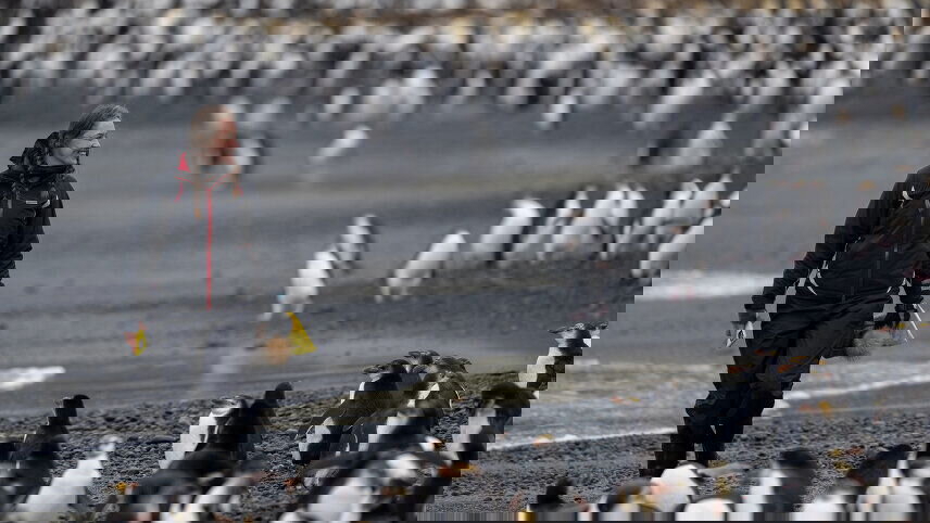 Galapagos Of The Southern Ocean